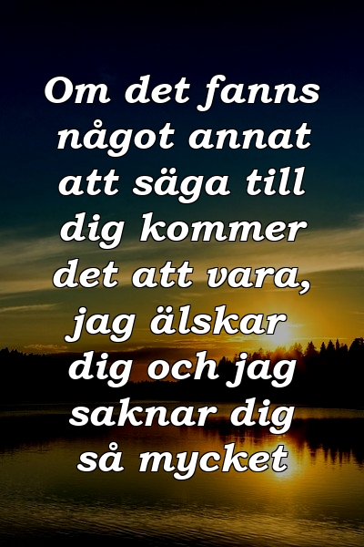 Om det fanns något annat att säga till dig kommer det att vara, jag älskar dig och jag saknar dig så mycket