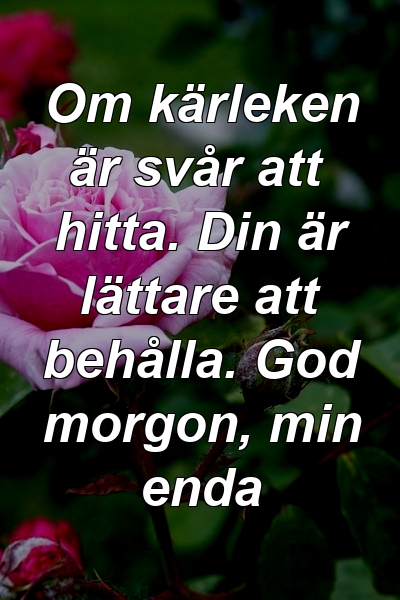 Om kärleken är svår att hitta. Din är lättare att behålla. God morgon, min enda