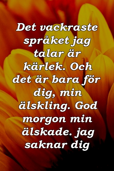 Det vackraste språket jag talar är kärlek. Och det är bara för dig, min älskling. God morgon min älskade. jag saknar dig