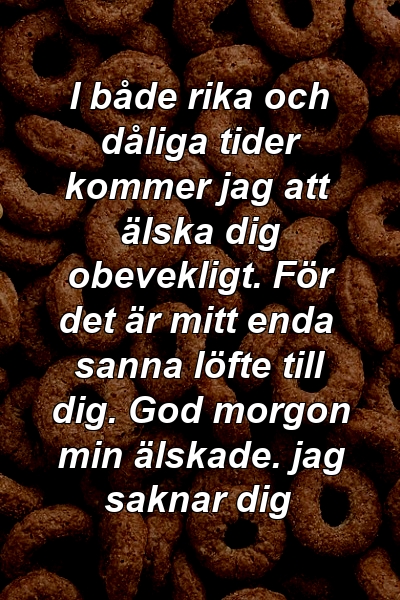 I både rika och dåliga tider kommer jag att älska dig obevekligt. För det är mitt enda sanna löfte till dig. God morgon min älskade. jag saknar dig