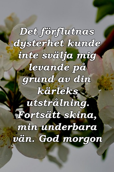 Det förflutnas dysterhet kunde inte svälja mig levande på grund av din kärleks utstrålning. Fortsätt skina, min underbara vän. God morgon