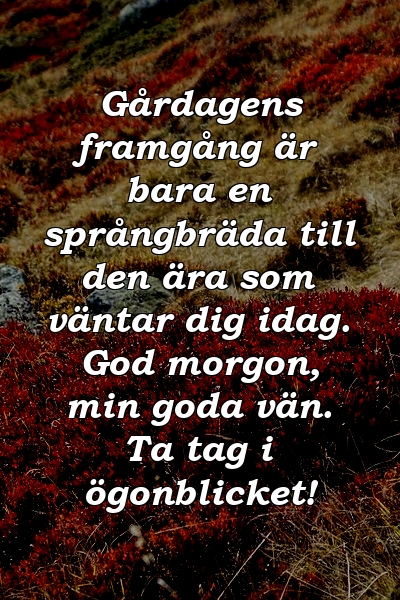 Gårdagens framgång är bara en språngbräda till den ära som väntar dig idag. God morgon, min goda vän. Ta tag i ögonblicket!