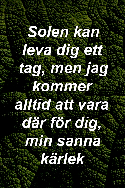 Solen kan leva dig ett tag, men jag kommer alltid att vara där för dig, min sanna kärlek