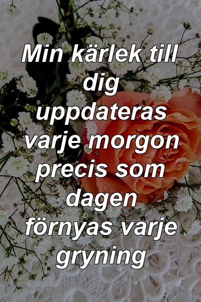 Min kärlek till dig uppdateras varje morgon precis som dagen förnyas varje gryning