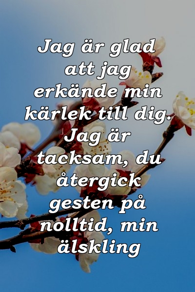 Jag är glad att jag erkände min kärlek till dig. Jag är tacksam, du återgick gesten på nolltid, min älskling