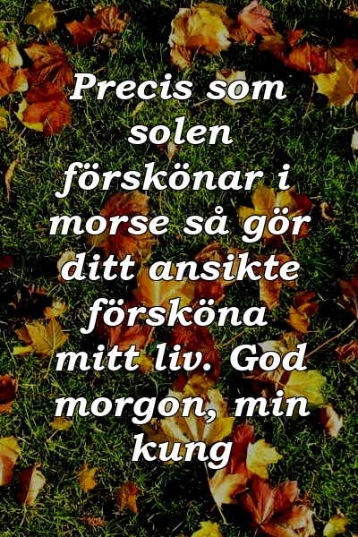 Precis som solen förskönar i morse så gör ditt ansikte försköna mitt liv. God morgon, min kung