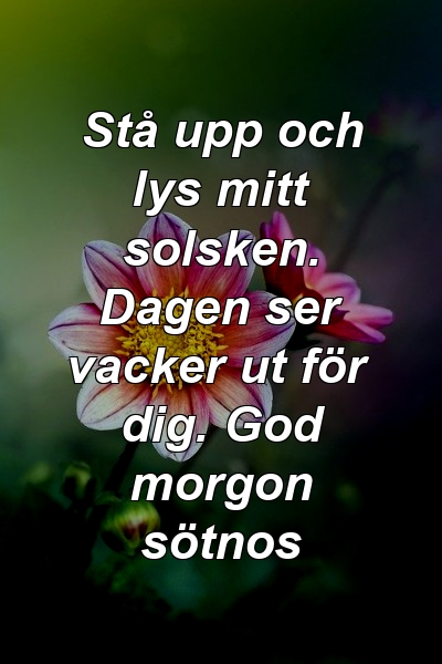 Stå upp och lys mitt solsken. Dagen ser vacker ut för dig. God morgon sötnos