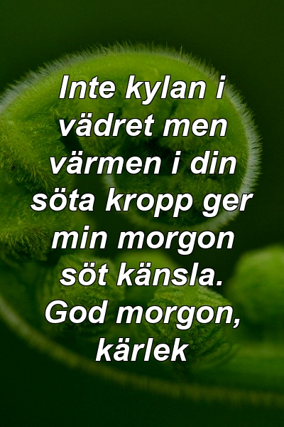 Inte kylan i vädret men värmen i din söta kropp ger min morgon söt känsla. God morgon, kärlek