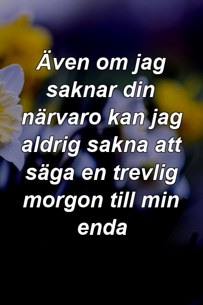 Även om jag saknar din närvaro kan jag aldrig sakna att säga en trevlig morgon till min enda