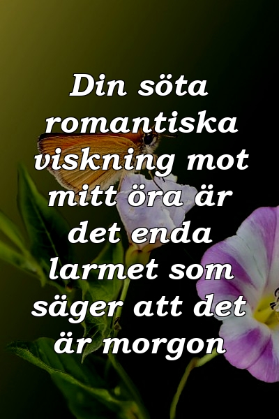 Din söta romantiska viskning mot mitt öra är det enda larmet som säger att det är morgon