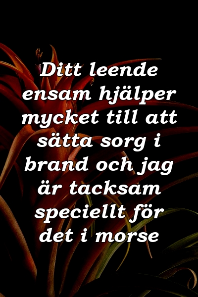 Ditt leende ensam hjälper mycket till att sätta sorg i brand och jag är tacksam speciellt för det i morse