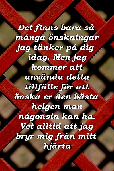 Det finns bara så många önskningar jag tänker på dig idag. Men jag kommer att använda detta tillfälle för att önska er den bästa helgen man någonsin kan ha. Vet alltid att jag bryr mig från mitt hjärta