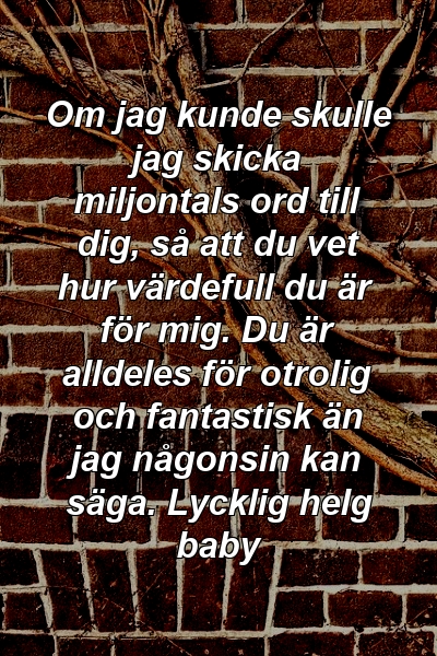 Om jag kunde skulle jag skicka miljontals ord till dig, så att du vet hur värdefull du är för mig. Du är alldeles för otrolig och fantastisk än jag någonsin kan säga. Lycklig helg baby