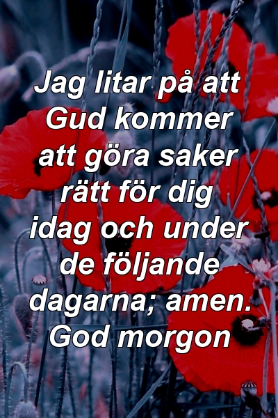 Jag litar på att Gud kommer att göra saker rätt för dig idag och under de följande dagarna; amen. God morgon