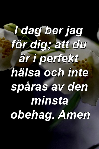 I dag ber jag för dig; att du är i perfekt hälsa och inte spåras av den minsta obehag. Amen