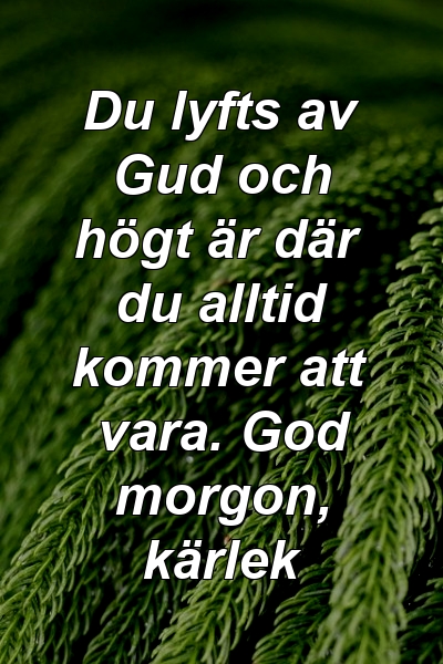 Du lyfts av Gud och högt är där du alltid kommer att vara. God morgon, kärlek