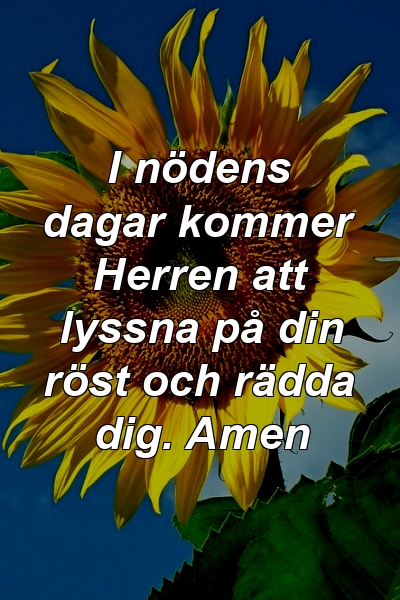 I nödens dagar kommer Herren att lyssna på din röst och rädda dig. Amen