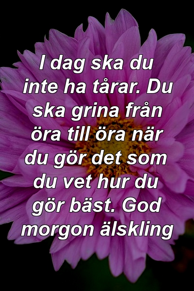 I dag ska du inte ha tårar. Du ska grina från öra till öra när du gör det som du vet hur du gör bäst. God morgon älskling