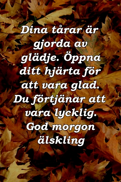 Dina tårar är gjorda av glädje. Öppna ditt hjärta för att vara glad. Du förtjänar att vara lycklig. God morgon älskling