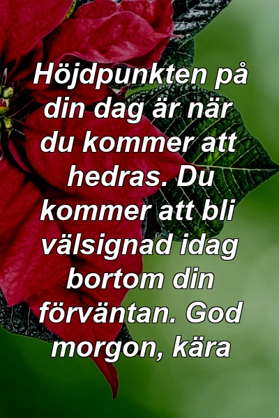 Höjdpunkten på din dag är när du kommer att hedras. Du kommer att bli välsignad idag bortom din förväntan. God morgon, kära