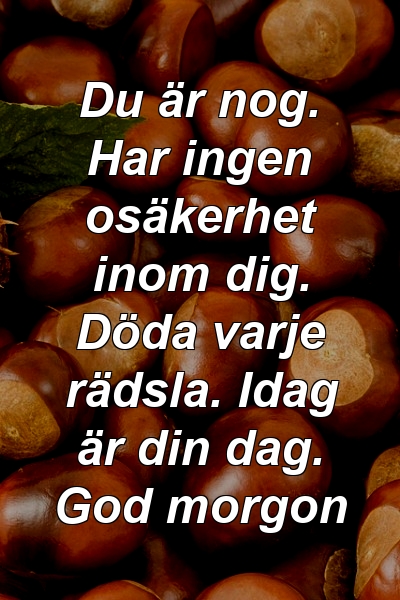 Du är nog. Har ingen osäkerhet inom dig. Döda varje rädsla. Idag är din dag. God morgon