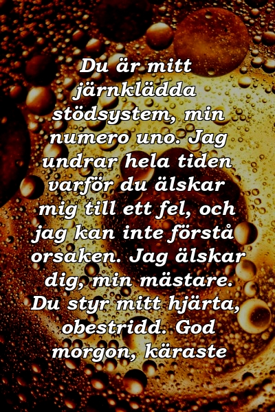 Du är mitt järnklädda stödsystem, min numero uno. Jag undrar hela tiden varför du älskar mig till ett fel, och jag kan inte förstå orsaken. Jag älskar dig, min mästare. Du styr mitt hjärta, obestridd. God morgon, käraste