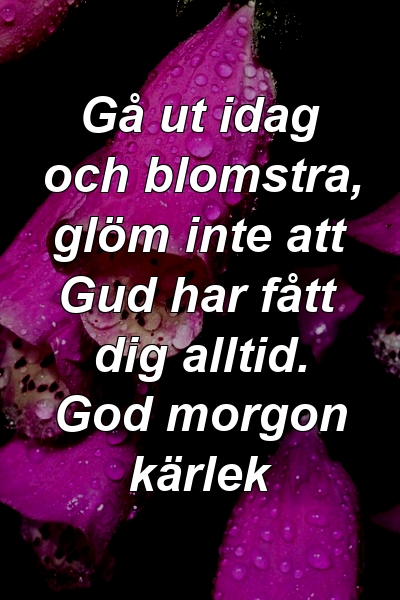 Gå ut idag och blomstra, glöm inte att Gud har fått dig alltid. God morgon kärlek