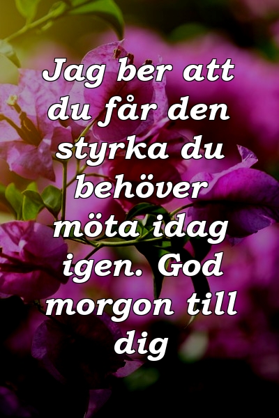 Jag ber att du får den styrka du behöver möta idag igen. God morgon till dig