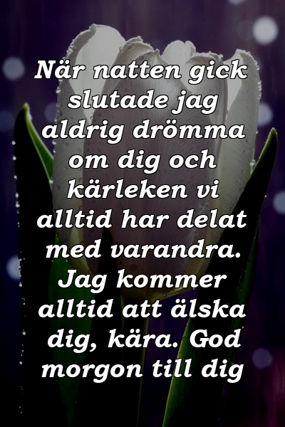 När natten gick slutade jag aldrig drömma om dig och kärleken vi alltid har delat med varandra. Jag kommer alltid att älska dig, kära. God morgon till dig