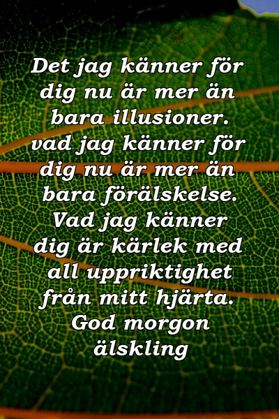 Det jag känner för dig nu är mer än bara illusioner. vad jag känner för dig nu är mer än bara förälskelse. Vad jag känner dig är kärlek med all uppriktighet från mitt hjärta. God morgon älskling