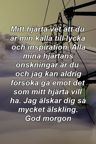 Mitt hjärta vet att du är min källa till lycka och inspiration. Alla mina hjärtans önskningar är du och jag kan aldrig försöka gå emot det som mitt hjärta vill ha. Jag älskar dig så mycket älskling. God morgon