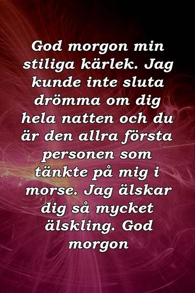 God morgon min stiliga kärlek. Jag kunde inte sluta drömma om dig hela natten och du är den allra första personen som tänkte på mig i morse. Jag älskar dig så mycket älskling. God morgon