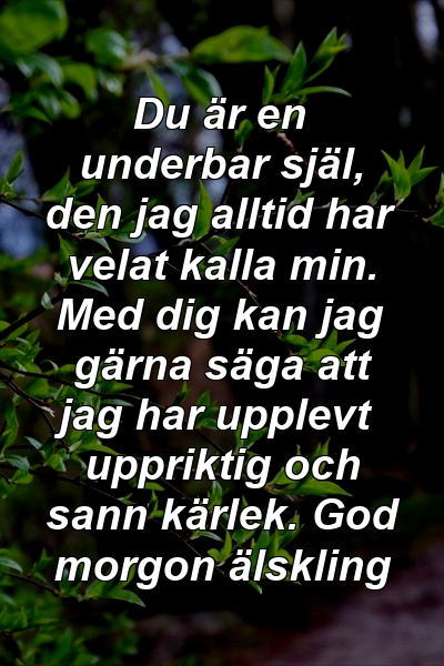 Du är en underbar själ, den jag alltid har velat kalla min. Med dig kan jag gärna säga att jag har upplevt uppriktig och sann kärlek. God morgon älskling