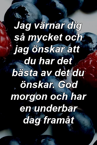 Jag värnar dig så mycket och jag önskar att du har det bästa av det du önskar. God morgon och har en underbar dag framåt