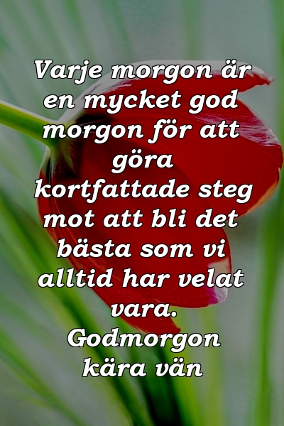 Varje morgon är en mycket god morgon för att göra kortfattade steg mot att bli det bästa som vi alltid har velat vara. Godmorgon kära vän