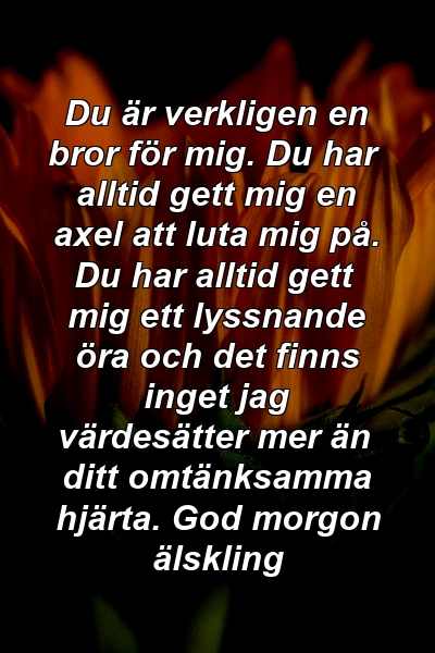 Du är verkligen en bror för mig. Du har alltid gett mig en axel att luta mig på. Du har alltid gett mig ett lyssnande öra och det finns inget jag värdesätter mer än ditt omtänksamma hjärta. God morgon älskling