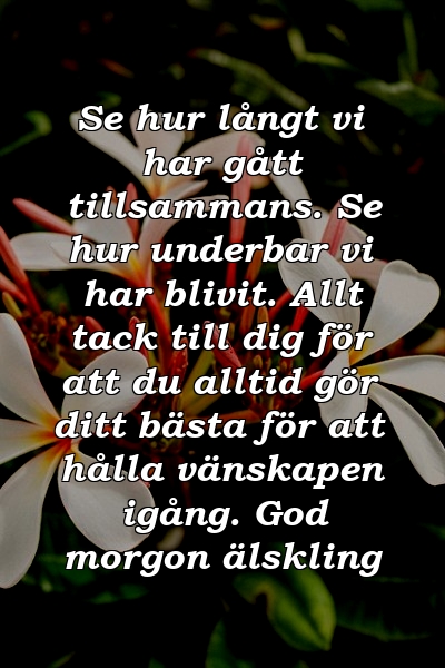 Se hur långt vi har gått tillsammans. Se hur underbar vi har blivit. Allt tack till dig för att du alltid gör ditt bästa för att hålla vänskapen igång. God morgon älskling