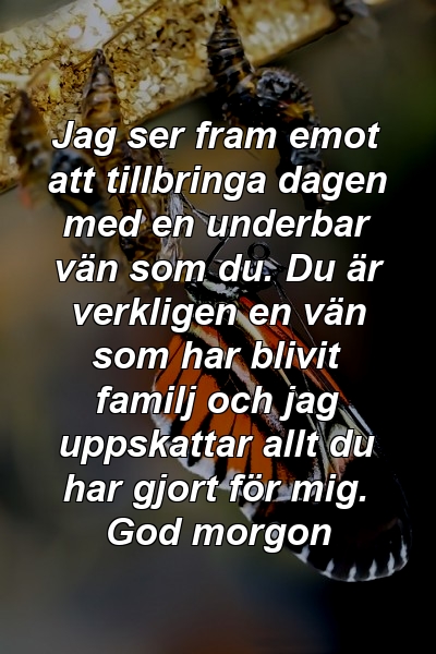 Jag ser fram emot att tillbringa dagen med en underbar vän som du. Du är verkligen en vän som har blivit familj och jag uppskattar allt du har gjort för mig. God morgon