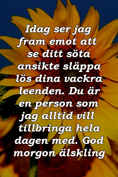 Idag ser jag fram emot att se ditt söta ansikte släppa lös dina vackra leenden. Du är en person som jag alltid vill tillbringa hela dagen med. God morgon älskling