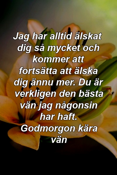 Jag har alltid älskat dig så mycket och kommer att fortsätta att älska dig ännu mer. Du är verkligen den bästa vän jag någonsin har haft. Godmorgon kära vän