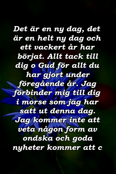 Det är en ny dag, det är en helt ny dag och ett vackert år har börjat. Allt tack till dig o Gud för allt du har gjort under föregående år. Jag förbinder mig till dig i morse som jag har satt ut denna dag. Jag kommer inte att veta någon form av ondska och goda nyheter kommer att c