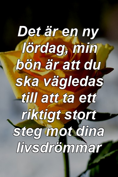 Det är en ny lördag, min bön är att du ska vägledas till att ta ett riktigt stort steg mot dina livsdrömmar