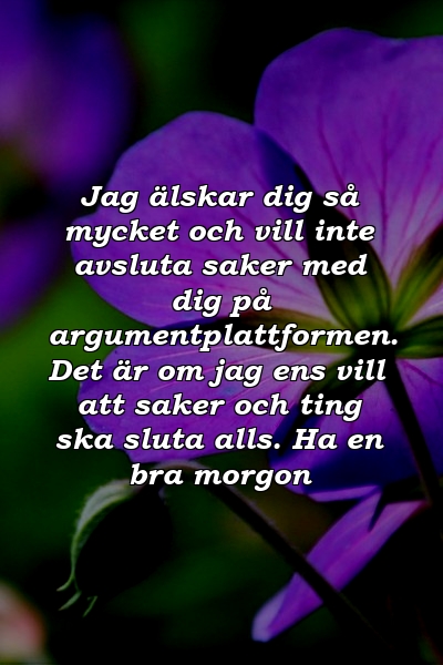 Jag älskar dig så mycket och vill inte avsluta saker med dig på argumentplattformen. Det är om jag ens vill att saker och ting ska sluta alls. Ha en bra morgon