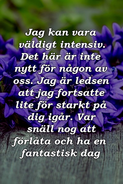 Jag kan vara väldigt intensiv. Det här är inte nytt för någon av oss. Jag är ledsen att jag fortsatte lite för starkt på dig igår. Var snäll nog att förlåta och ha en fantastisk dag