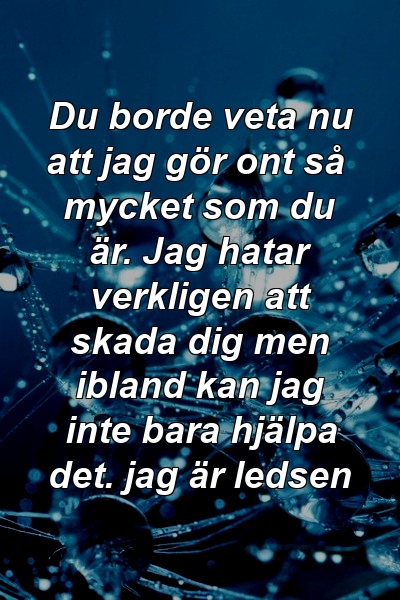 Du borde veta nu att jag gör ont så mycket som du är. Jag hatar verkligen att skada dig men ibland kan jag inte bara hjälpa det. jag är ledsen