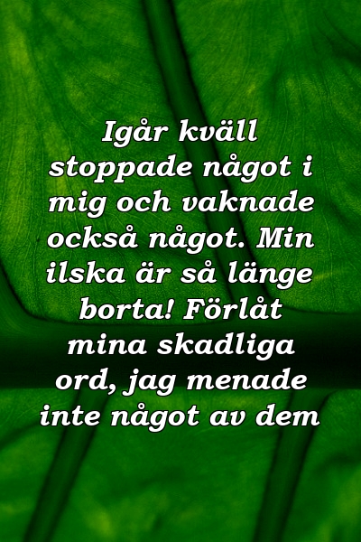 Igår kväll stoppade något i mig och vaknade också något. Min ilska är så länge borta! Förlåt mina skadliga ord, jag menade inte något av dem