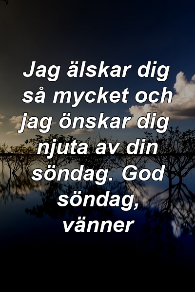 Jag älskar dig så mycket och jag önskar dig njuta av din söndag. God söndag, vänner