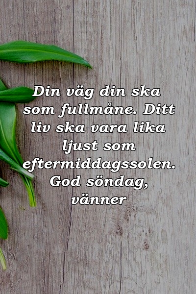 Din väg din ska som fullmåne. Ditt liv ska vara lika ljust som eftermiddagssolen. God söndag, vänner