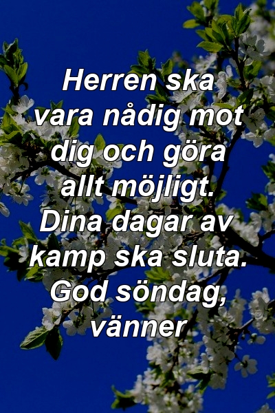 Herren ska vara nådig mot dig och göra allt möjligt. Dina dagar av kamp ska sluta. God söndag, vänner