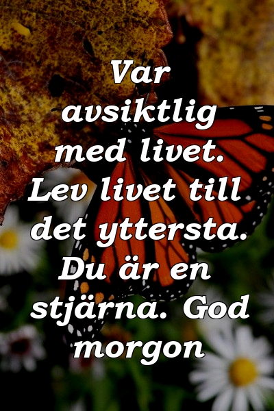 Var avsiktlig med livet. Lev livet till det yttersta. Du är en stjärna. God morgon